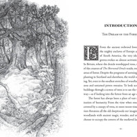 The Sherwood Oracle: Hidden Lore of the Wild Forest-Earth Fairy Holistics