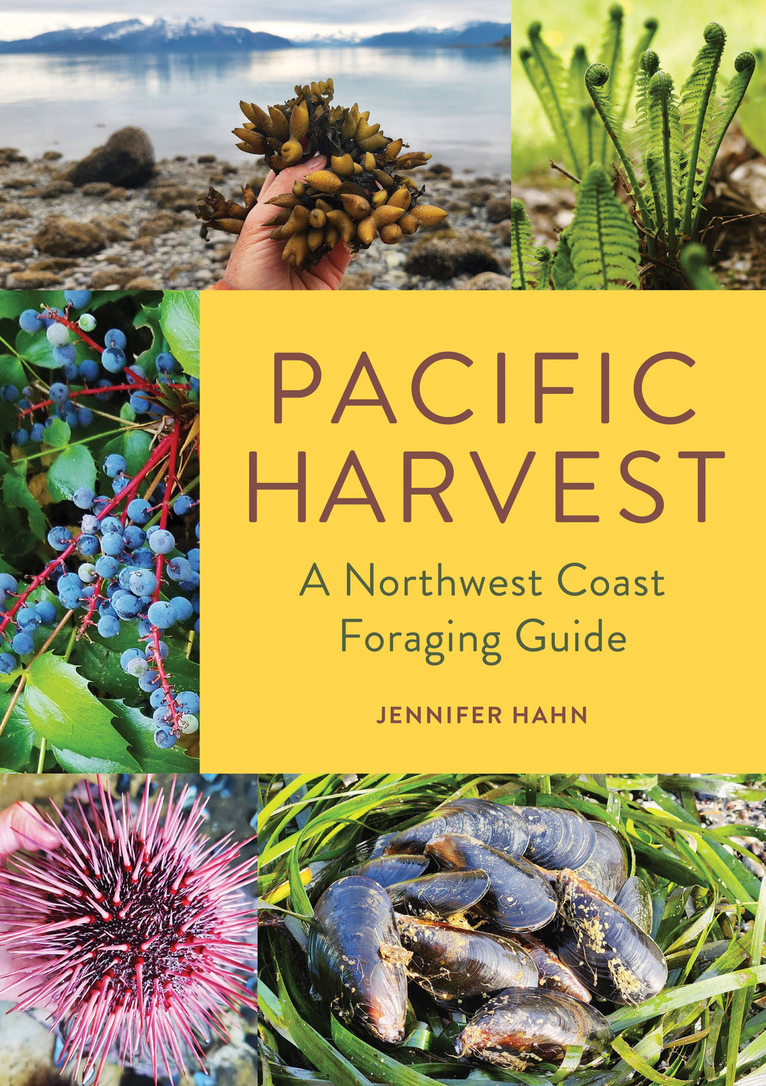 Pacific Harvest: A Northwest Coast Foraging Guide-Earth Fairy Holistics