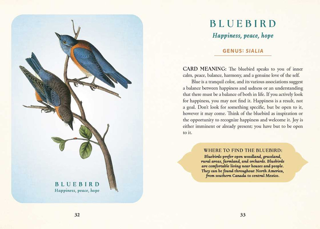 Spiritual Meaning of Birds Oracle Deck by Arin Murphy-Hiscock-Earth Fairy Holistics