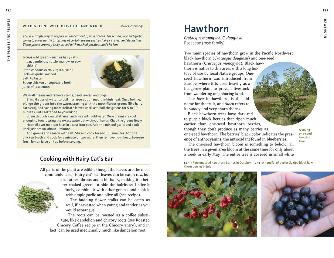 Edible Plants of the Pacific Northwest-Earth Fairy Holistics