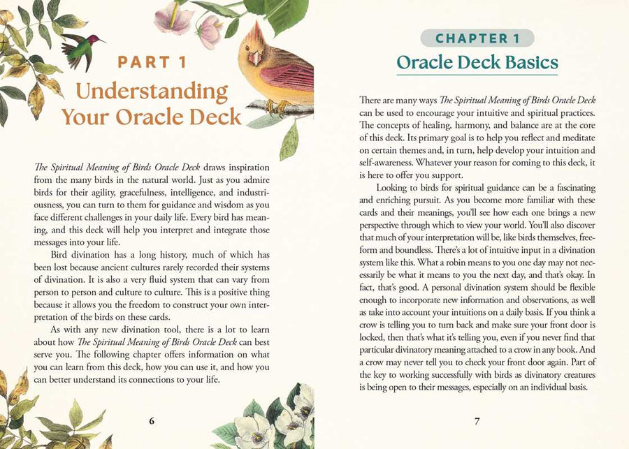 Spiritual Meaning of Birds Oracle Deck by Arin Murphy-Hiscock-Earth Fairy Holistics