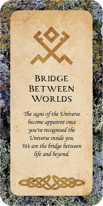 Druid Wisdom by Andres Engracia-Earth Fairy Holistics