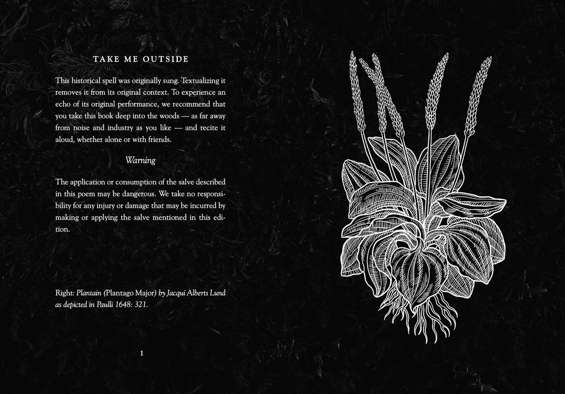 The Nine Plants Spell, 3rd Edition by Joseph S. Hopkins-Earth Fairy Holistics