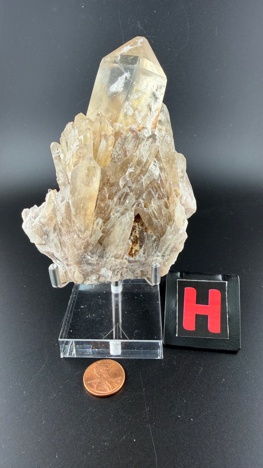 Kundalini Citrine-Earth Fairy Holistics