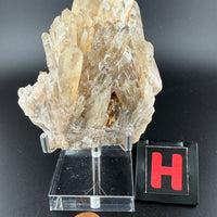Kundalini Citrine-Earth Fairy Holistics
