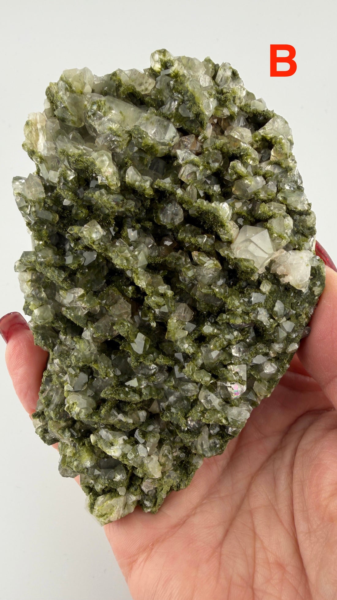 Epidote on Quartz Specimens-Earth Fairy Holistics