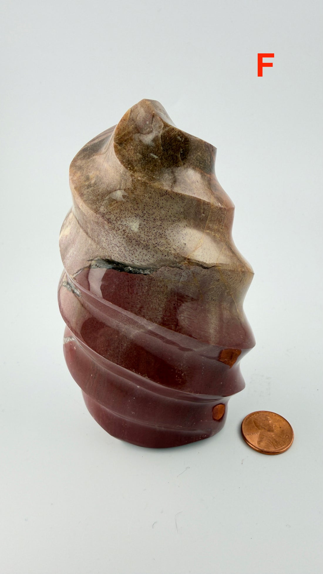 Petrified Wood Flames-Earth Fairy Holistics