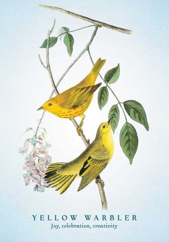 Spiritual Meaning of Birds Oracle Deck by Arin Murphy-Hiscock-Earth Fairy Holistics