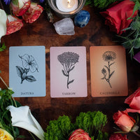 2.5" x 3.5" 60-Card Botanical Poetry Oracle Deck-Earth Fairy Holistics