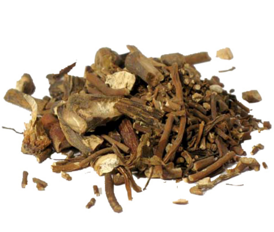 Mandrake Root (MAGICAL USE ONLY - NOT FOR INGESTING)-Earth Fairy Holistics