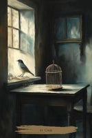 Haunted Cottage Oracle-Earth Fairy Holistics