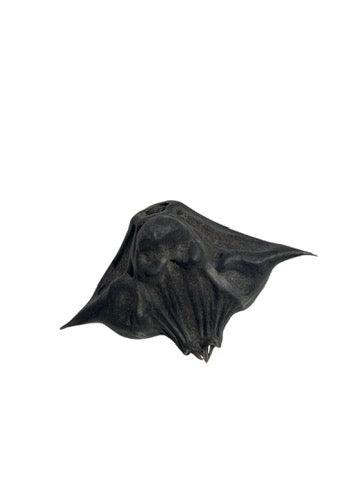 Wild Crafted Water Chestnut Pods AKA Devil Pods, Bat Nuts (Trapa natans)-Earth Fairy Holistics
