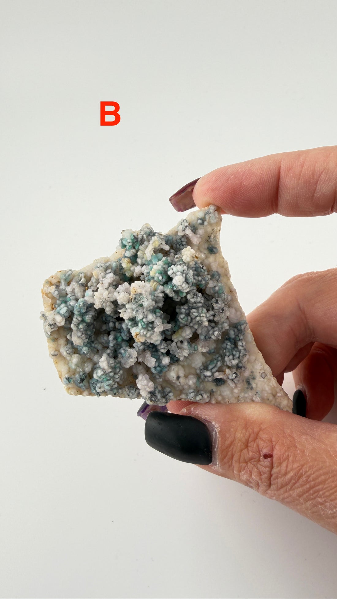Chalcedony (w/Copper/Chrysocolla & Malachite Incl) Botryoidal Specimens