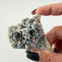 Chalcedony (w/Copper/Chrysocolla & Malachite Incl) Botryoidal Specimens