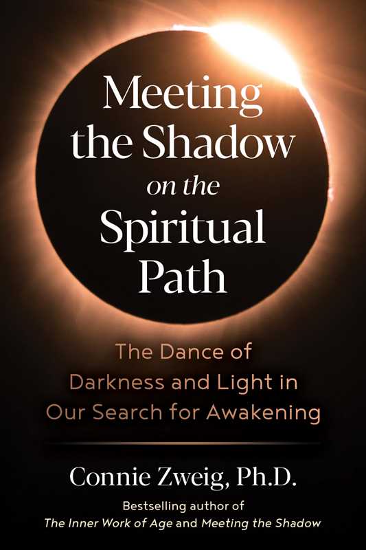 Meeting the Shadow on the Spiritual Path by Connie Zweig-Earth Fairy Holistics