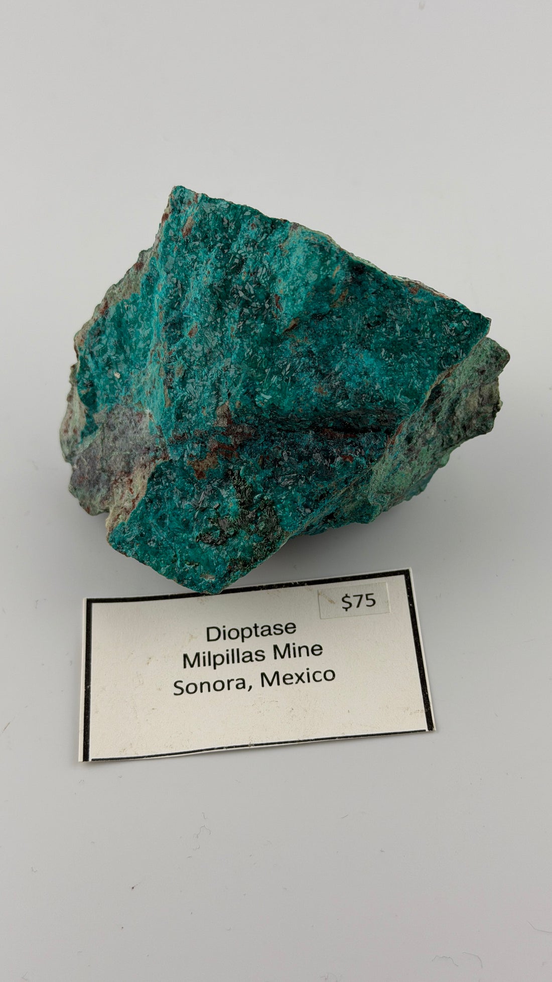 Dioptase Specimen-Earth Fairy Holistics