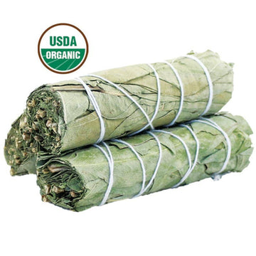 Eucalyptus Sage Smudge Stick (4 in.)-Earth Fairy Holistics