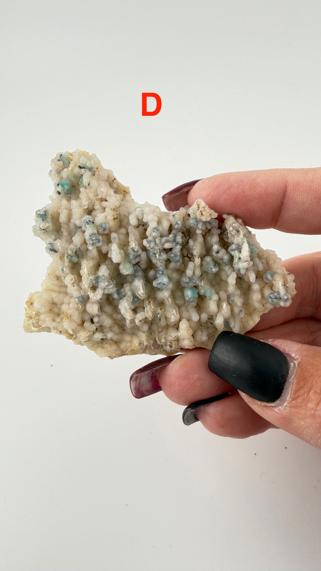 Chalcedony (w/Copper/Chrysocolla & Malachite Incl) Botryoidal Specimens