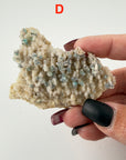 Chalcedony (w/Copper/Chrysocolla & Malachite Incl) Botryoidal Specimens-Earth Fairy Holistics