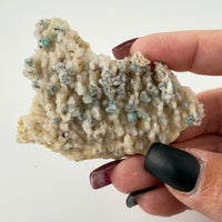 Chalcedony (w/Copper/Chrysocolla & Malachite Incl) Botryoidal Specimens