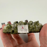 Epidote on Quartz Specimens-Earth Fairy Holistics