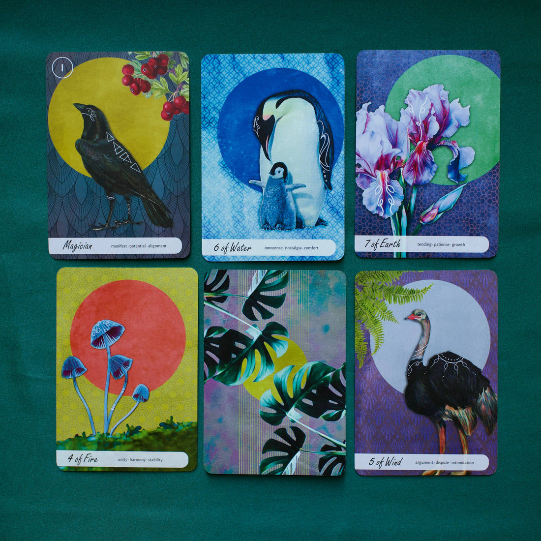 Wise Earth Medicine Tarot: 78 Cards & 96 Page Guidebook-Earth Fairy Holistics