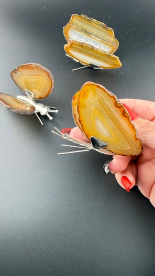 Agate Butterfly-Earth Fairy Holistics