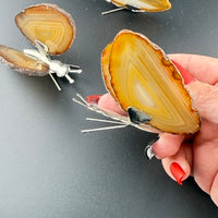 Agate Butterfly-Earth Fairy Holistics