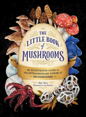 Little Book of Mushrooms by Alex Dorr-Earth Fairy Holistics