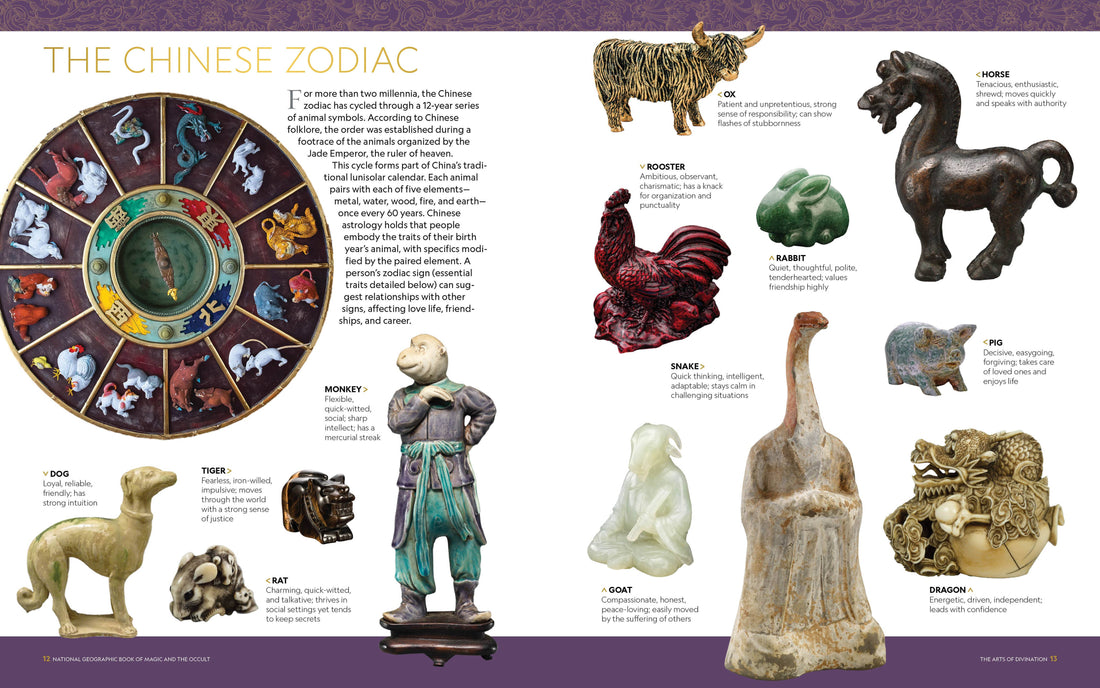 NG Book of Magic-Earth Fairy Holistics