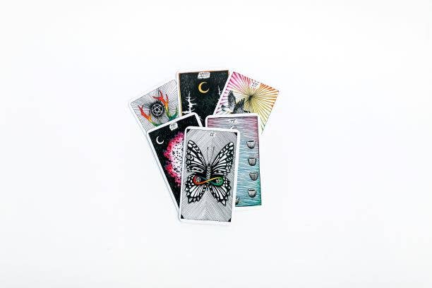 Wild Unknown Pocket Tarot, The: Kim Krans-Earth Fairy Holistics
