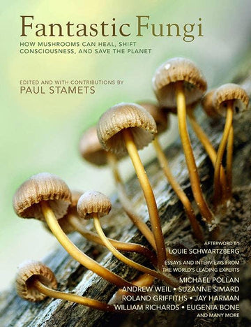Fantastic Fungi-Earth Fairy Holistics