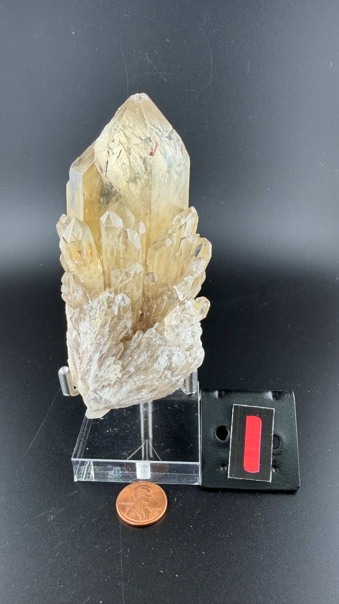 Kundalini Citrine-Earth Fairy Holistics