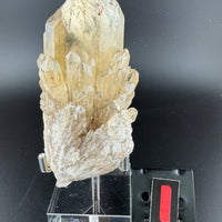 Kundalini Citrine-Earth Fairy Holistics