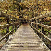 Druid Wisdom by Andres Engracia-Earth Fairy Holistics