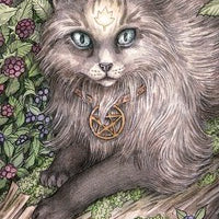 Soul Cats Tarot-Earth Fairy Holistics
