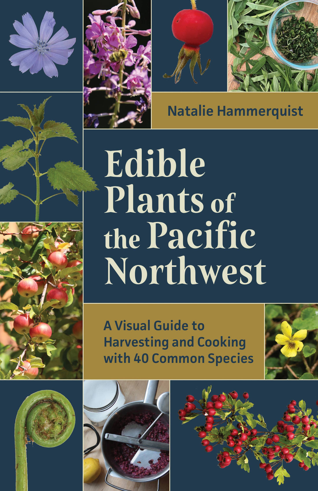 Edible Plants of the Pacific Northwest-Earth Fairy Holistics