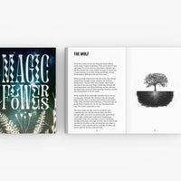 Magic Flowers - Softcover Full Color Book and Bookmark-Earth Fairy Holistics