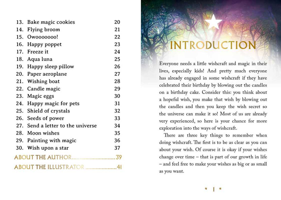 Wishcraft Oracle by Stacey Demarco-Earth Fairy Holistics