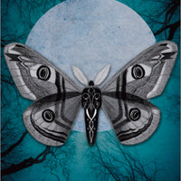 Wise Earth Medicine Tarot: 78 Cards & 96 Page Guidebook-Earth Fairy Holistics