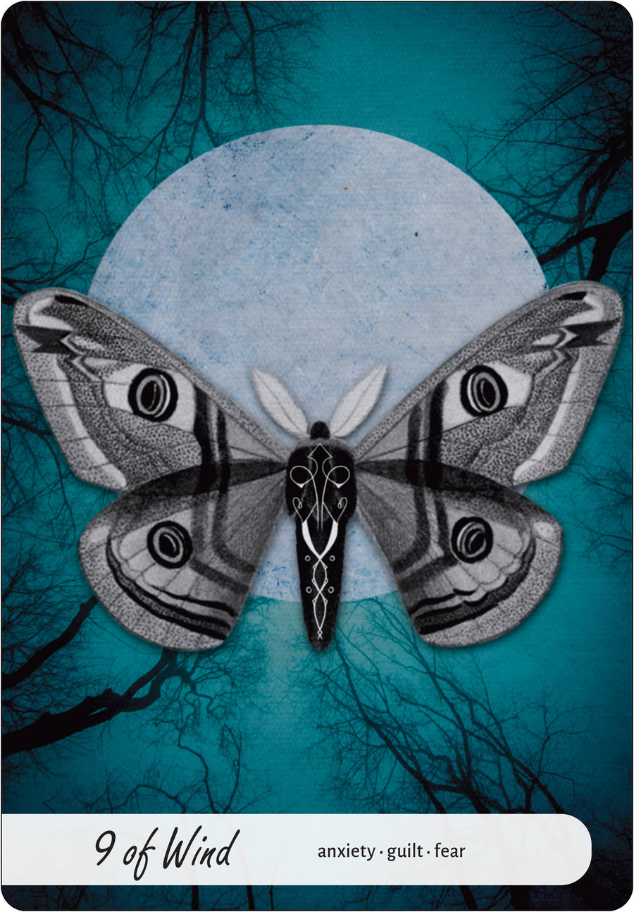 Wise Earth Medicine Tarot: 78 Cards & 96 Page Guidebook-Earth Fairy Holistics