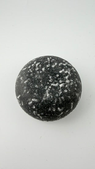 Forest Delight Shampoo Bar