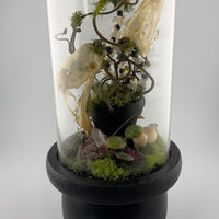 Skullflower Sonata-Earth Fairy Holistics