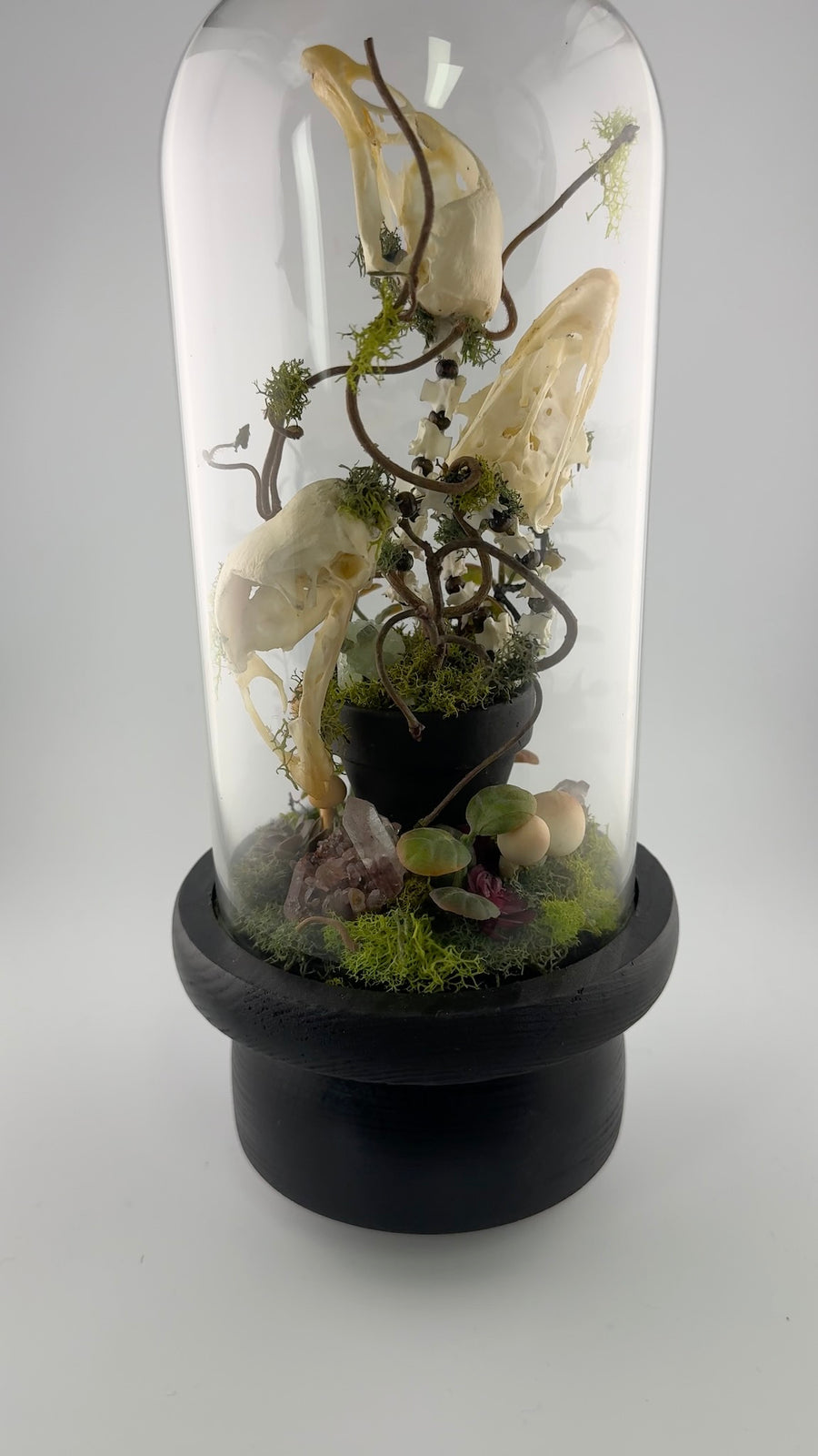 Skullflower Sonata-Earth Fairy Holistics