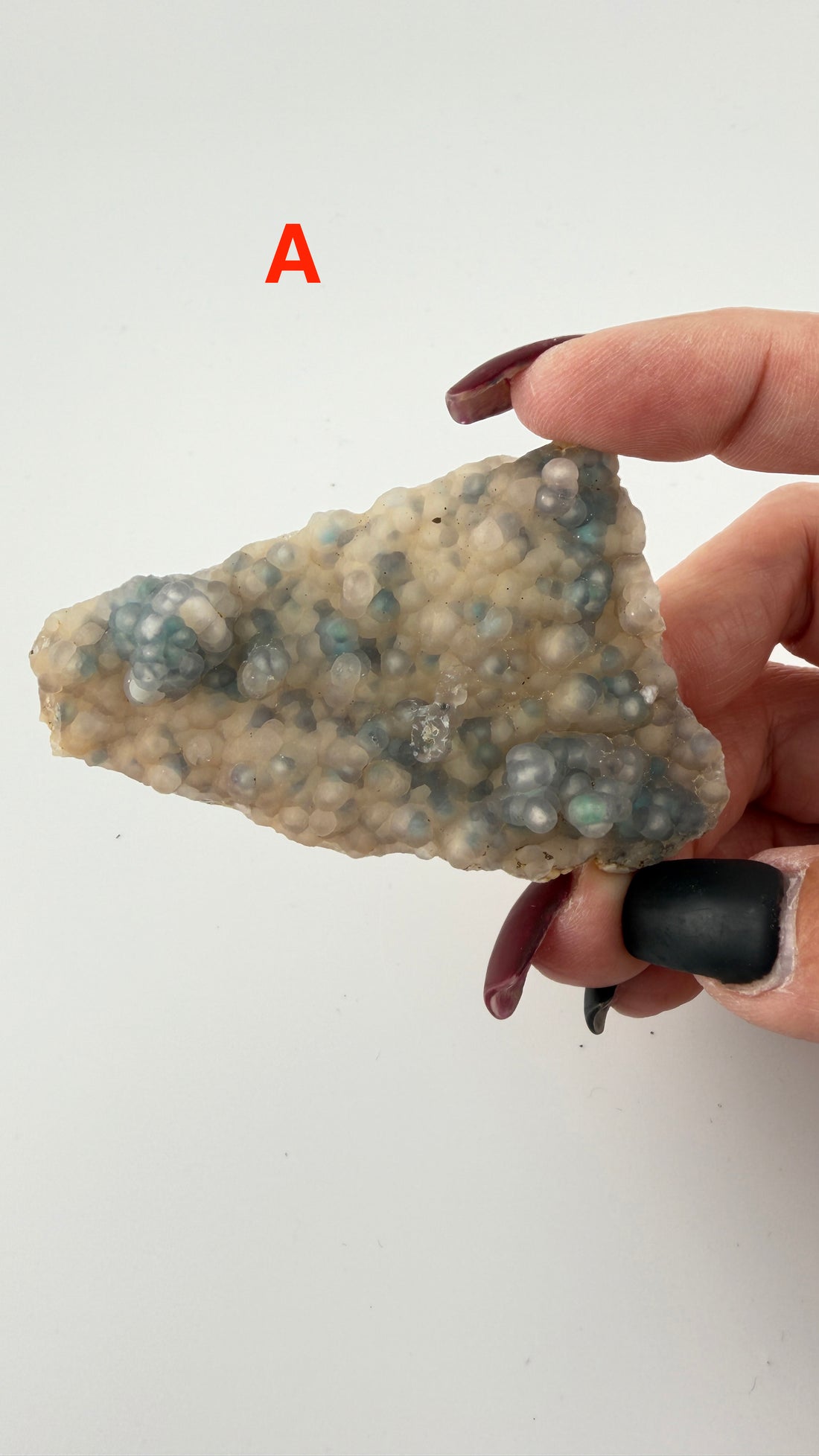 Chalcedony (w/Copper/Chrysocolla & Malachite Incl) Botryoidal Specimens