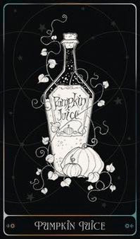 The Alchemist's Oracle-Earth Fairy Holistics