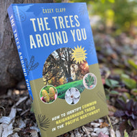 The Trees Around You-Earth Fairy Holistics