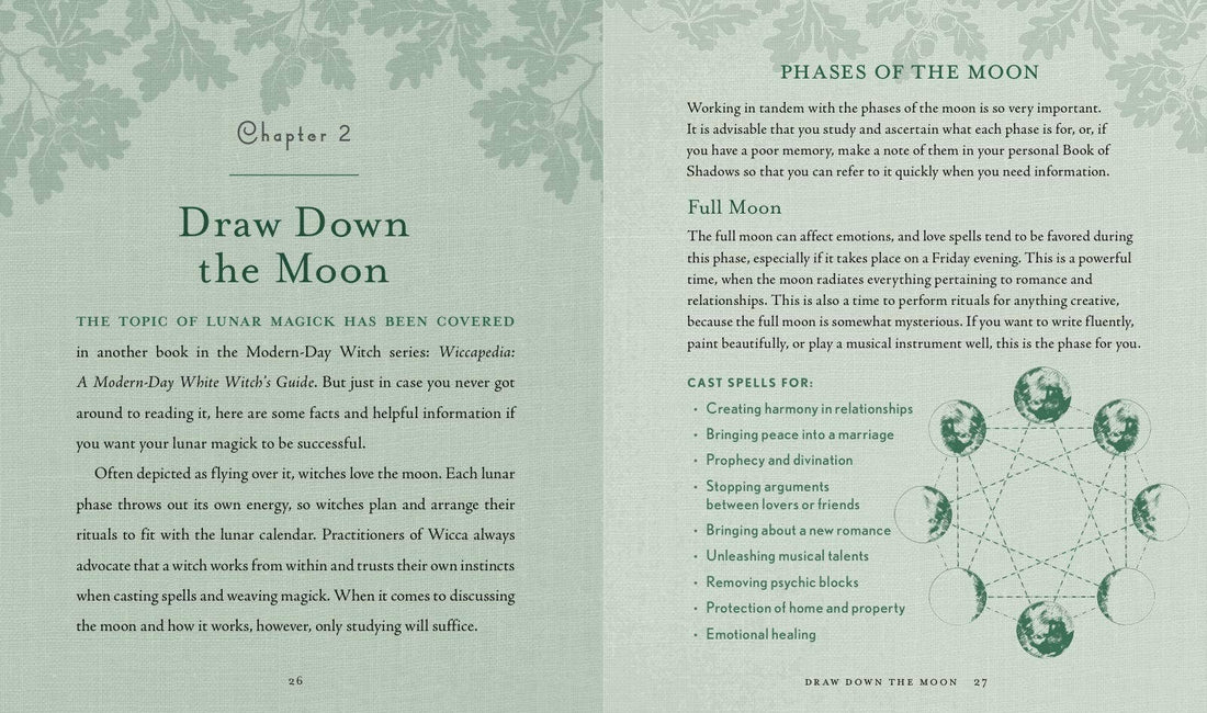 Witch's Way by Shawn Robbins-Earth Fairy Holistics
