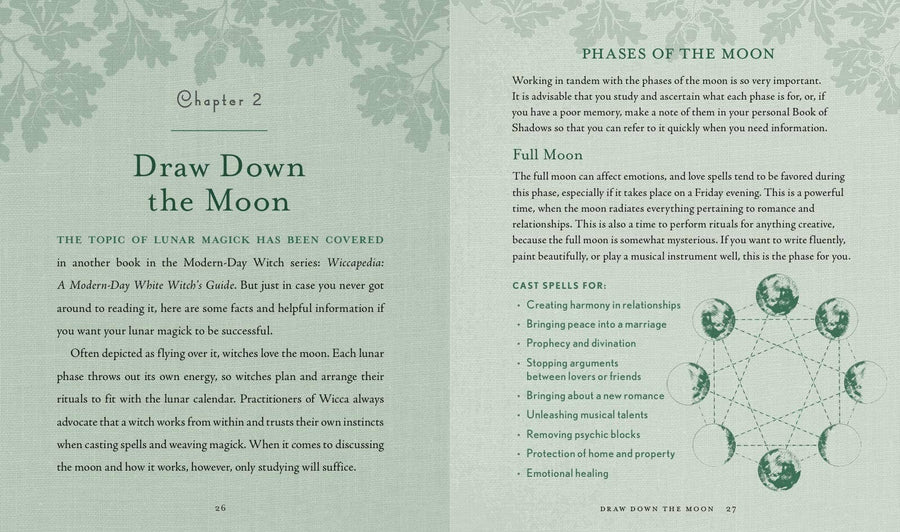 Witch's Way by Shawn Robbins-Earth Fairy Holistics
