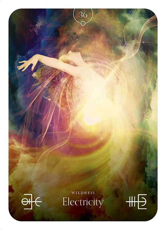 Elemental Oracle by Stacey Demarco-Earth Fairy Holistics